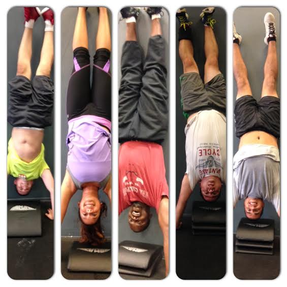 Handstands at a gym in New Tampa