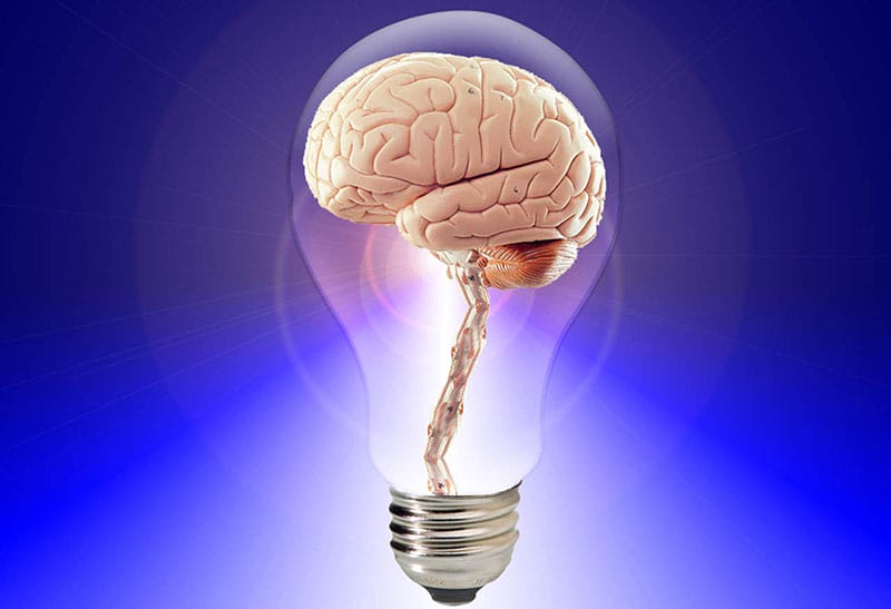 brain bulb